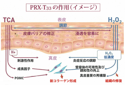 PRX-T33